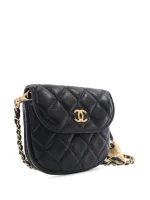 ⁦2019 Quilted Lambskin Pearl Crush Waist Bag belt bag⁩ – תמונה ⁦2⁩
