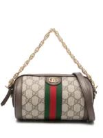 Gucci Mini Ophidia