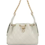 ⁦Chanel Small 25 Hobo Bag Light Grey Caviar⁩ – תמונה ⁦10⁩